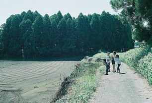 旅行风景语录经典语录,经典语录,旅游的意义经典语录