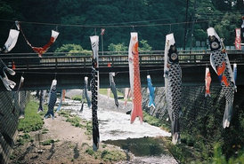 空山鸟语经典语录,秦时明月之空山鸟语经典语录,空山鸟语名句