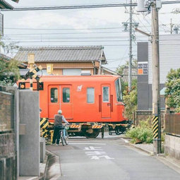 小学收获的经典语录