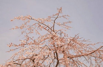 电影《流浪地球》经典语录