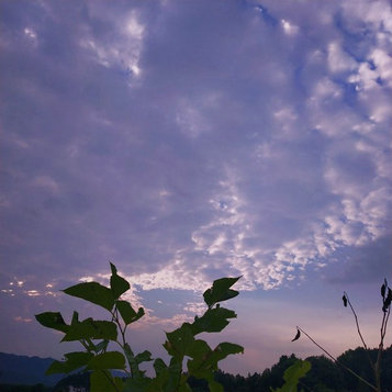 雨中的外滩的经典语录,赞美雨中的外滩,赞美上海外滩一句话